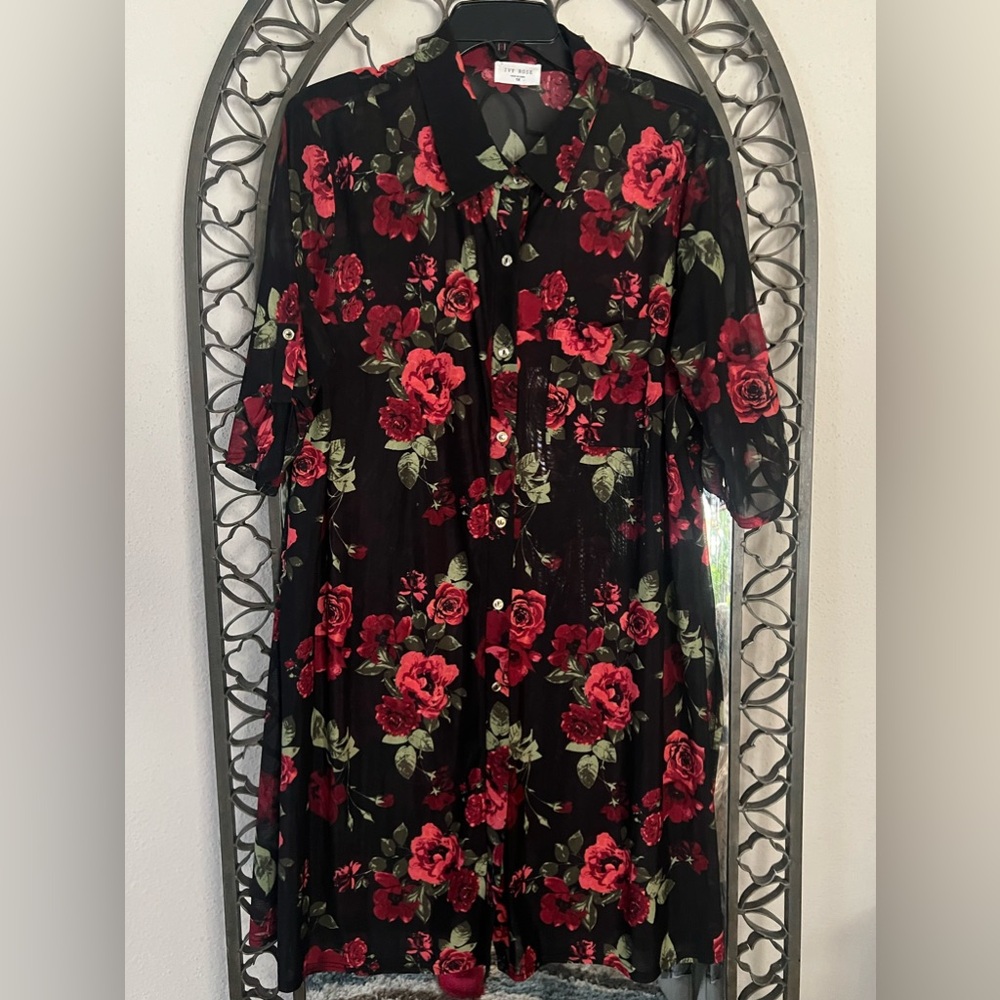 Never worn, Sheer top.